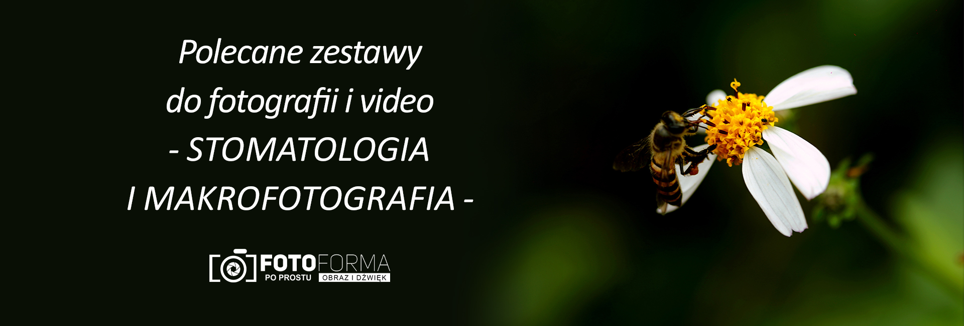 Zestawy do stomatologii i fotografii makro